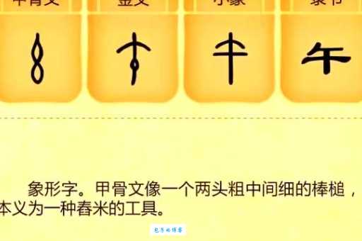 午组词_午字组词