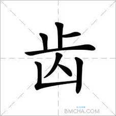 齿是什么意思