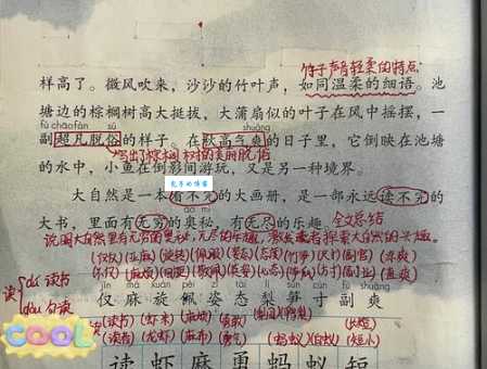 书组词 解答书组词有哪些与书本的书组词怎么组！