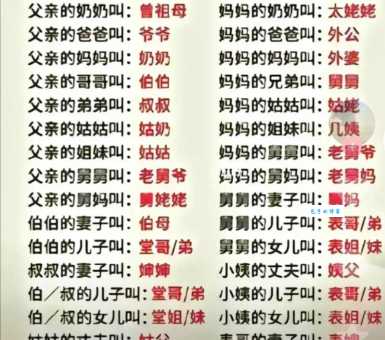 辈是什么意思