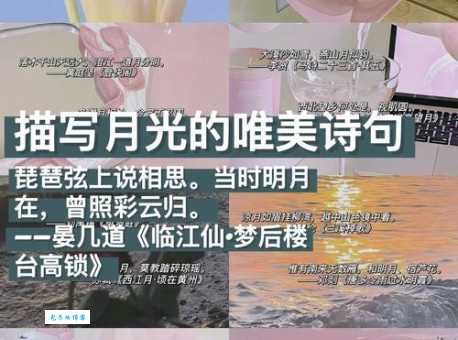 月光是那样柔和的柔和是什么意思
