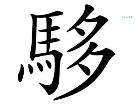 弛组词_弛字组词