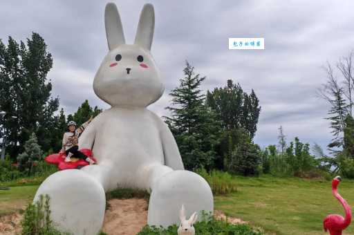骑是什么意思