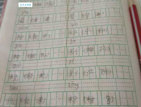 烫组词_烫字组词