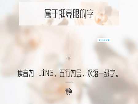 静是什么意思
