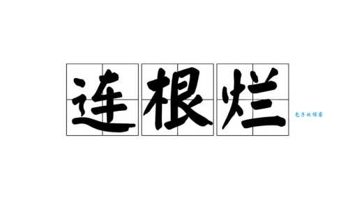 烂是什么意思