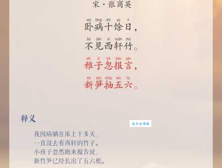 汉字“笋”的读音、意思、用法、释义、造句