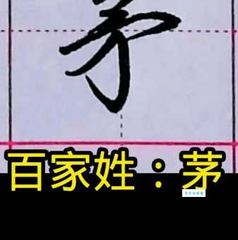 茅组词_茅字组词