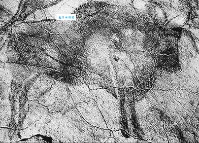「世界文明奇迹：欧洲」阿尔塔米拉洞窟简介（Altamira Cave）——史前的西斯廷教堂