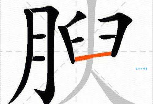 肥组词 解答肥组词有哪些与肥胖的肥组词怎么组！