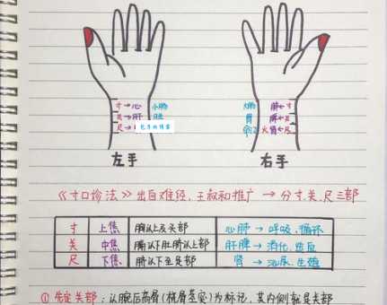 汉字“脉”的读音、意思、用法、释义、造句