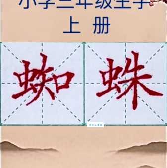 蜘组词_蜘字组词