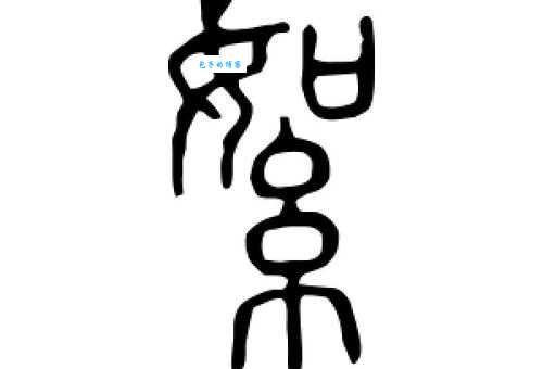 絮组词_絮字组词