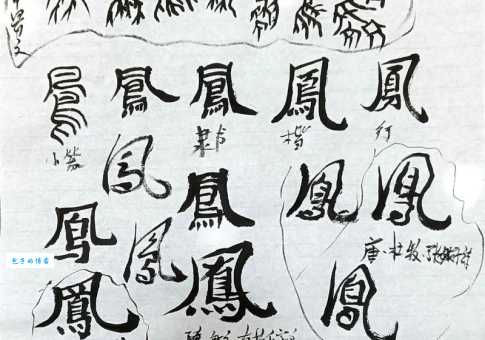 凤组词 解答凤组词有哪些与凤凰的凤组词怎么组！