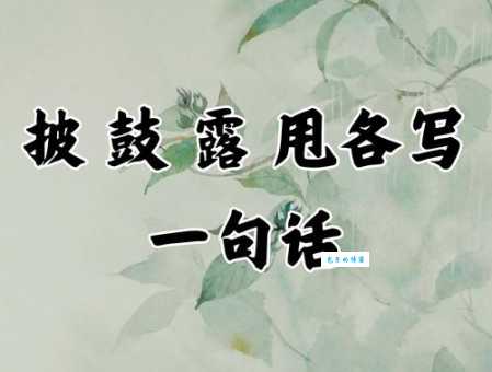 披组词 解答披组词有哪些与披的笔顺怎么写！