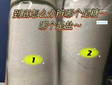 盐是什么意思