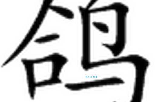 汉字“鸽”的读音、意思、用法、释义、造句