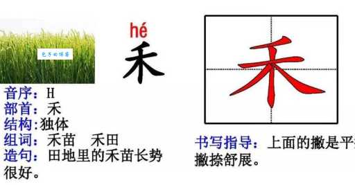 禾字组词 解答禾字组词有哪些与锄禾的禾字组词怎么组