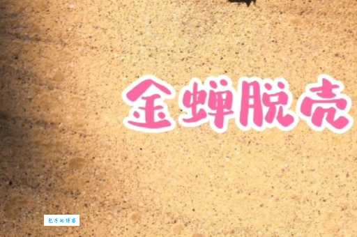 「成语故事」金蝉脱壳