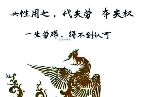 凤是什么意思