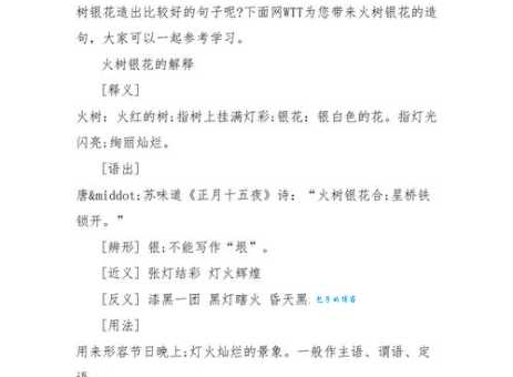 「成语故事」火树银花