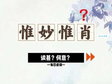 惟是什么意思