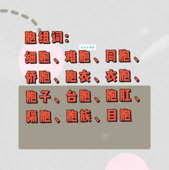 胞组词_胞字组词