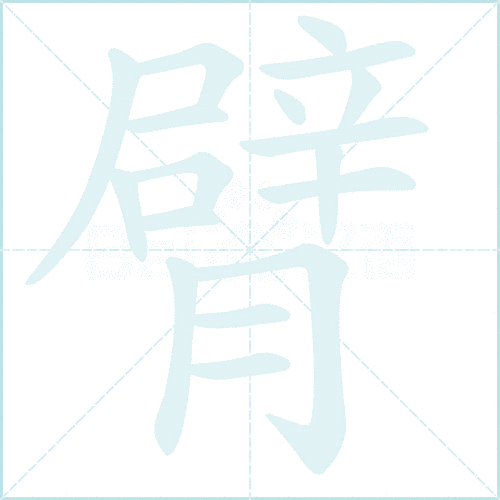 臂组词 解答臂组词有哪些与臂的笔顺怎么写！