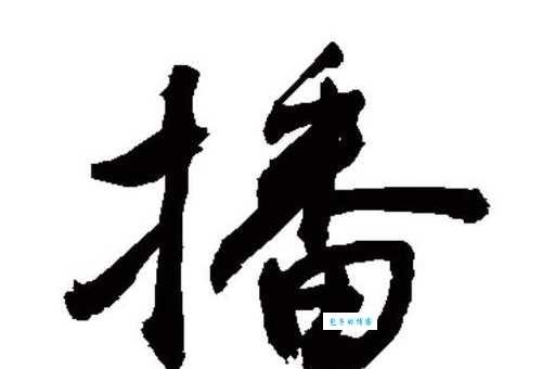 播是什么意思