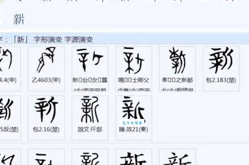 新组词 解答新组词有哪些与新的笔顺怎么写！