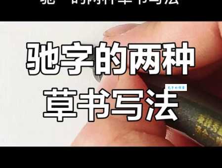 驰组词_驰字组词
