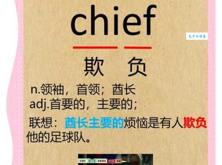 several的用法（several什么意思）