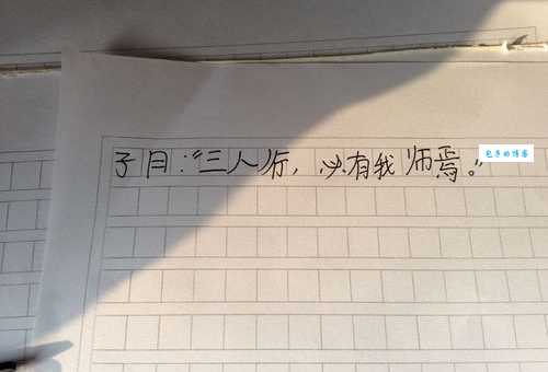 述是什么意思