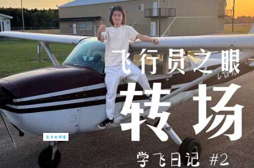 飞行员打一成语 飞行员打一什么成语