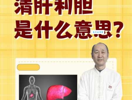 胆是什么意思