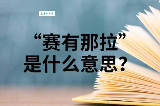 赛是什么意思