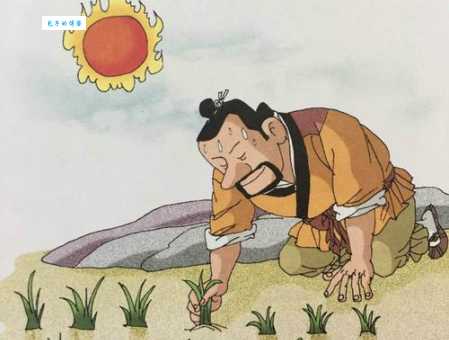 「成语故事」揠苗助长