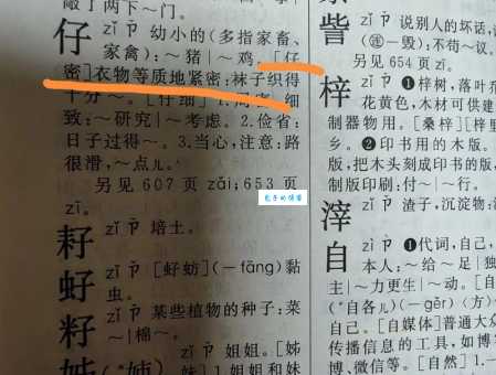 仔组词 解答仔组词有哪些及仔细的仔组词怎么写！