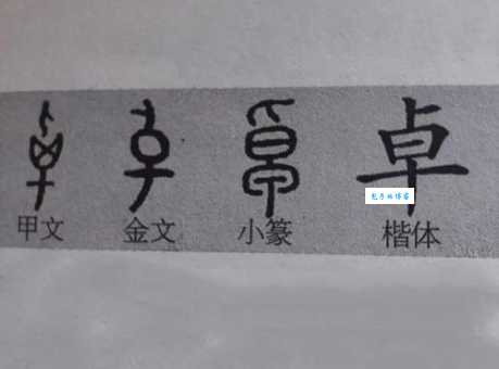 卓是什么意思