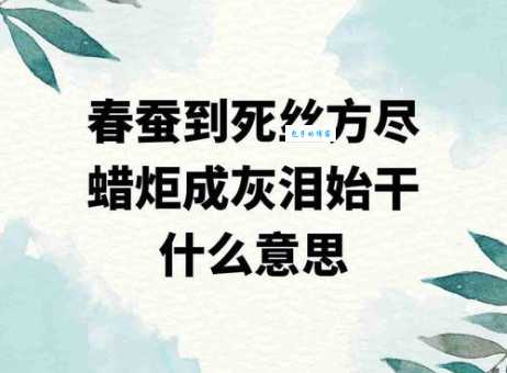 尽是什么意思