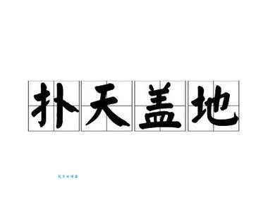 扑是什么意思