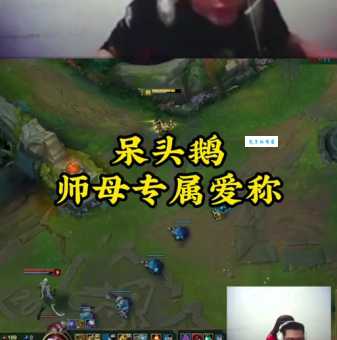 呆头鹅是什么意思