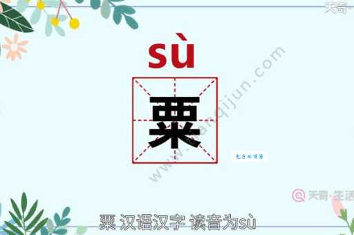 粟怎么读？粟的读音和意思