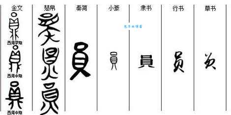 汉字“员”的读音、意思、用法、释义、造句