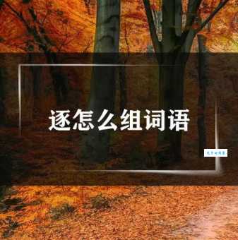 逐组词_逐字组词