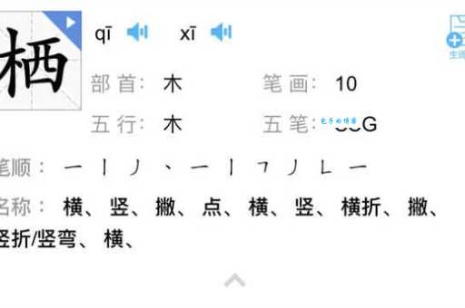两栖怎么读？栖你是念“qī”还是“xī”？