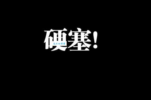 塞是什么意思
