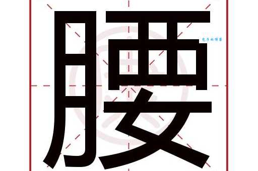 腰组词_腰字组词