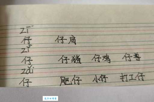 仔的多音字组词信息