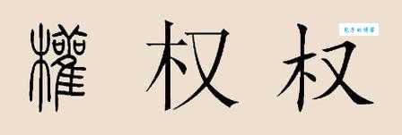 权是什么意思